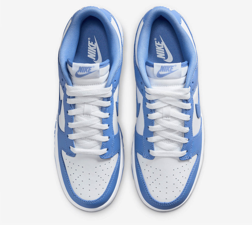 Nike Dunk low polar blue