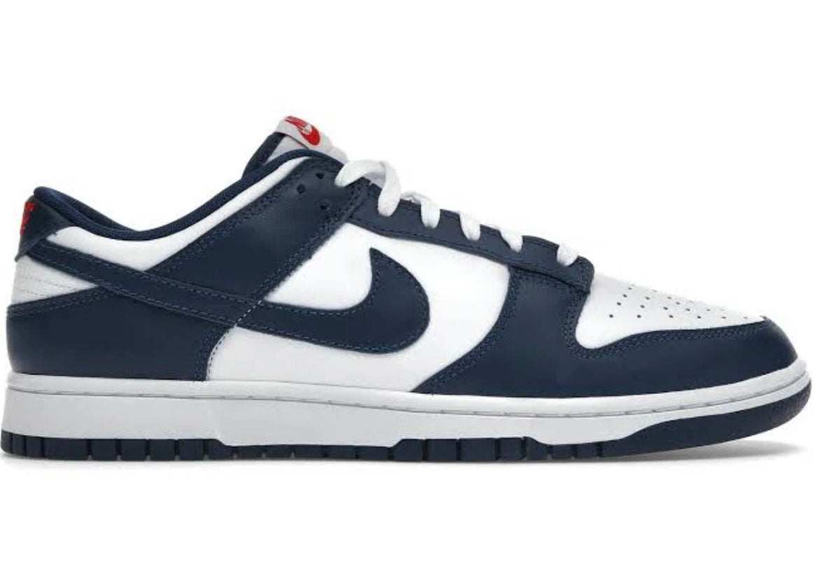 Nike Dunk Low Valerian Blue