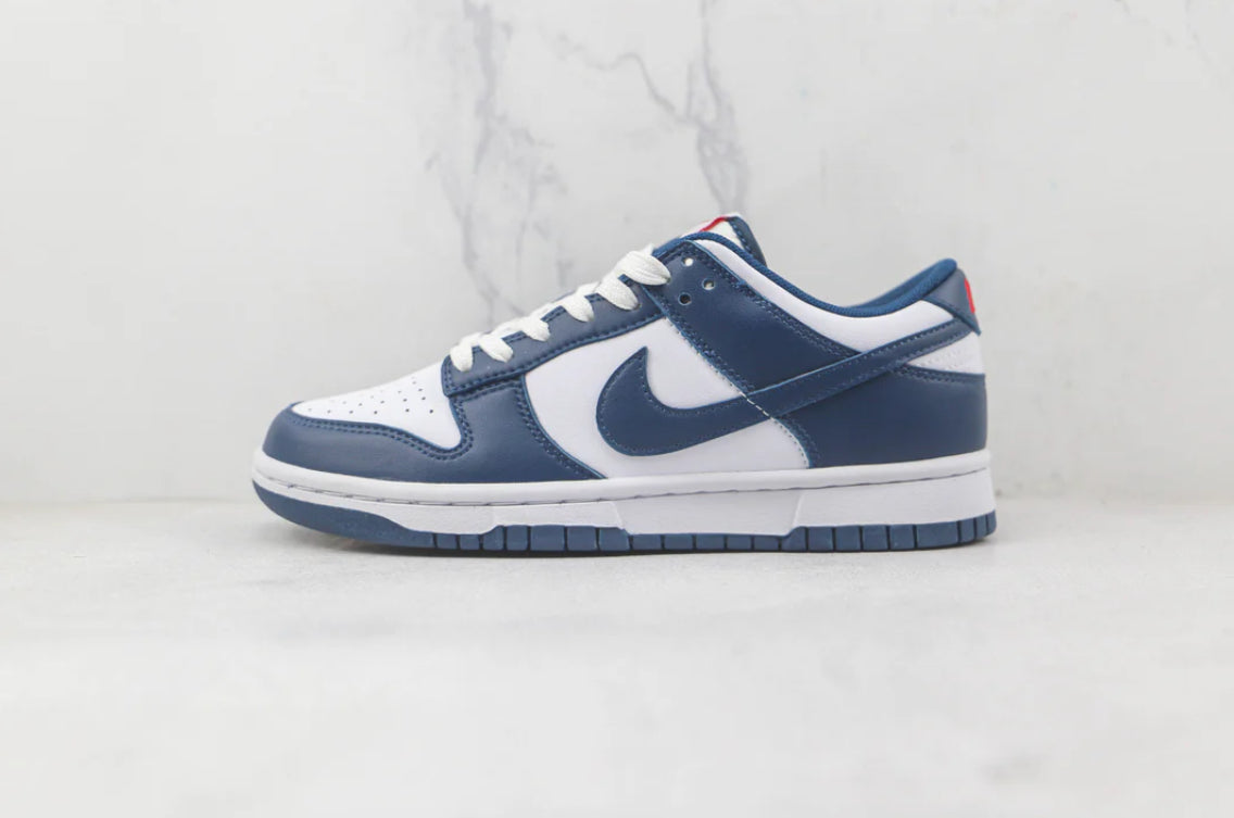 Nike Dunk Low Valerian Blue